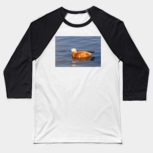 Female Ruddy Shelduck Baseball T-Shirt